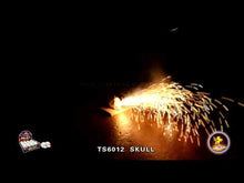 Load and play video in Gallery viewer, Skull Fountain