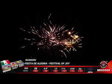 Load and play video in Gallery viewer, Fiesta De Alegria - Festival of Joy 96's