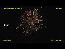 Load and play video in Gallery viewer, The Program 30's