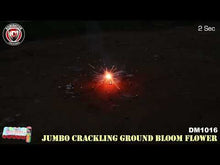 Load and play video in Gallery viewer, Jumbo Crackling Ground Bloom Flower