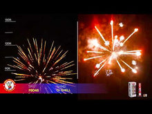 Load and play video in Gallery viewer, Dr. Shell