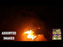 Load and play video in Gallery viewer, Assorted Color Snakes - BUY 1 GET 3 FREE