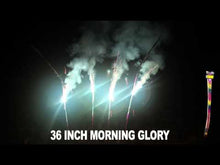 Load and play video in Gallery viewer, Morning Glory 36"