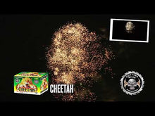 Load and play video in Gallery viewer, Cheetah 24's