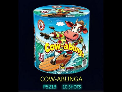 Cow-Abunga 10's,Curbside Fireworks