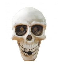 Load image into Gallery viewer, Skull Fountain,Curbside Fireworks
