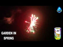 Load and play video in Gallery viewer, Garden in Spring 7's
