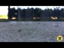 Load and play video in Gallery viewer, Super Snaps BC (large)

