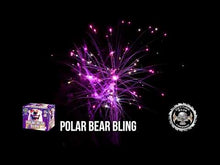 Load and play video in Gallery viewer, Polar Bear Bling 30's
