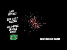 Load and play video in Gallery viewer, Western Green Mamba 42&#39;s

