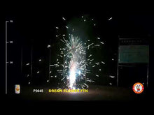 Load and play video in Gallery viewer, Dream Flower
