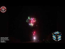 Load and play video in Gallery viewer, Neon Boom 25&#39;s
