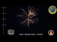 Load and play video in Gallery viewer, Home of the Brave Canister 24's

