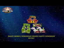 Load and play video in Gallery viewer, Bunny, Snake &amp; Dinosaur
