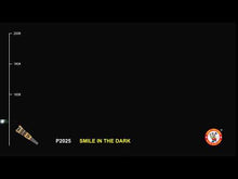 Load and play video in Gallery viewer, Smile In The Dark
