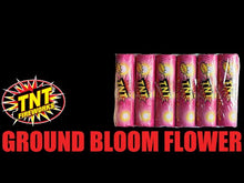 Load and play video in Gallery viewer, Ground Bloom Flowers - BUY 1 GET 3 FREE
