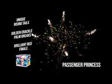 Load and play video in Gallery viewer, Passenger Princess 16's
