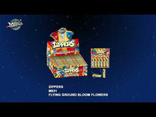 Load and play video in Gallery viewer, Zippers - BUY 1 GET 3 FREE
