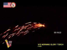 Load and play video in Gallery viewer, Morning Glory 14"
