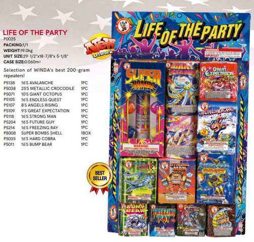 Life Of The Party,Curbside Fireworks