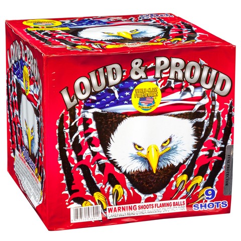 Loud and Proud 9's - Curbside Fireworks