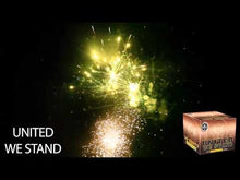 Load and play video in Gallery viewer, United We Stand 30&#39;s
