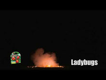 Load and play video in Gallery viewer, Ladybugs
