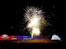 Load and play video in Gallery viewer, Whale Fountain
