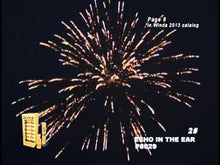 Load and play video in Gallery viewer, Echo In The Ear 5&quot; Canister
