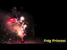 Load and play video in Gallery viewer, Frog Princess
