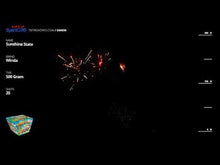 Load and play video in Gallery viewer, Sunshine State 20&#39;s
